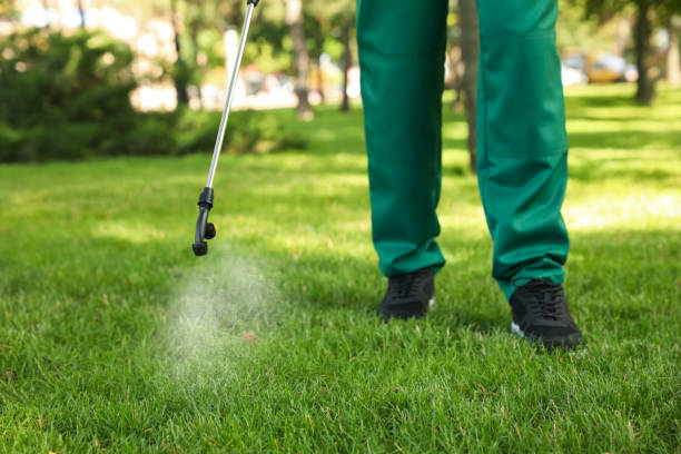Best Flea Control Services  in Oliver, PA