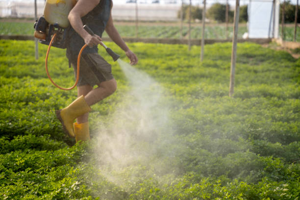 Professional Pest Control in Oliver, PA