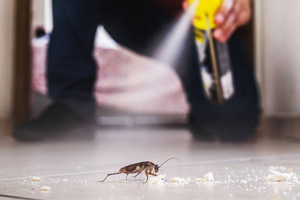 Best Pest Inspection Near Me  in Oliver, PA