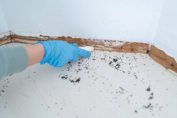 Best Emergency Pest Control  in Oliver, PA