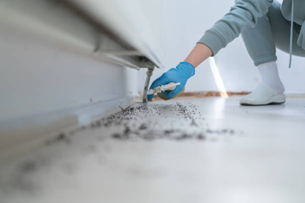 Best Pest Control Treatment  in Oliver, PA